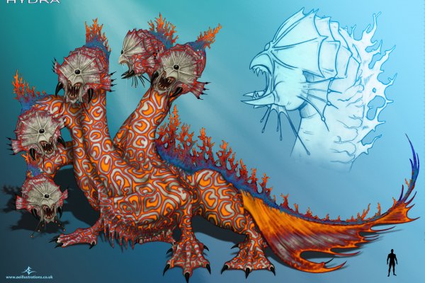 Kraken 18at