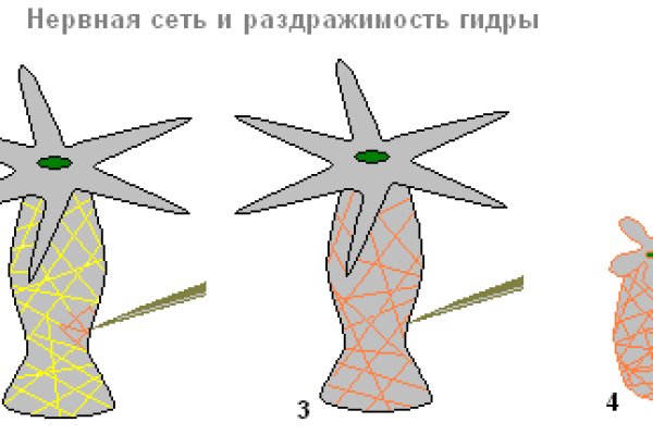 Что такое кракен маркетплейс