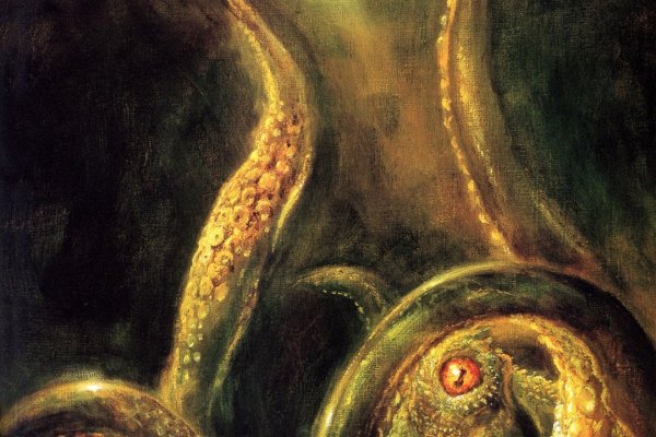 Kraken18 at