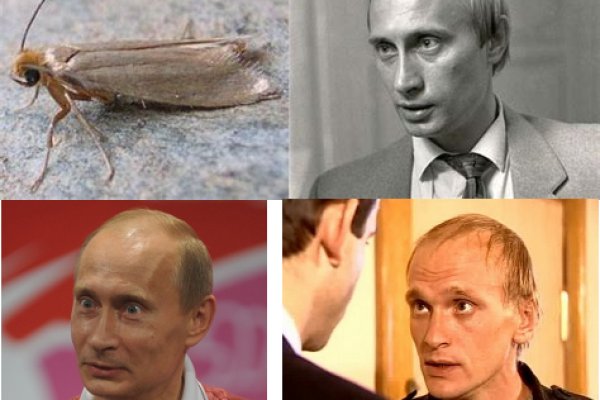 Kraken зеркало стор